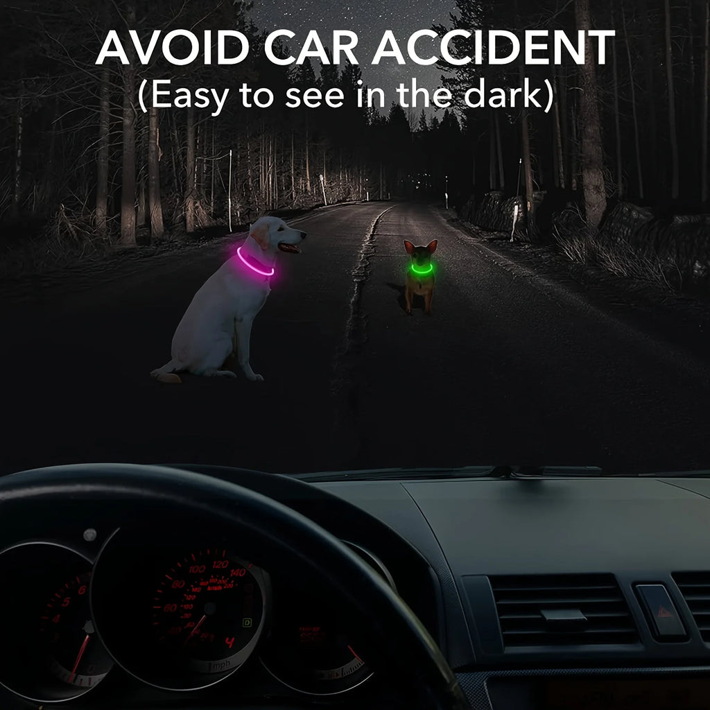 USB Rechargeable LED Light-Up Dog Collar – Night Safety Collar