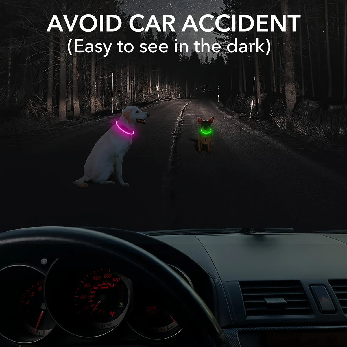 USB Rechargeable LED Light-Up Dog Collar – Night Safety Collar