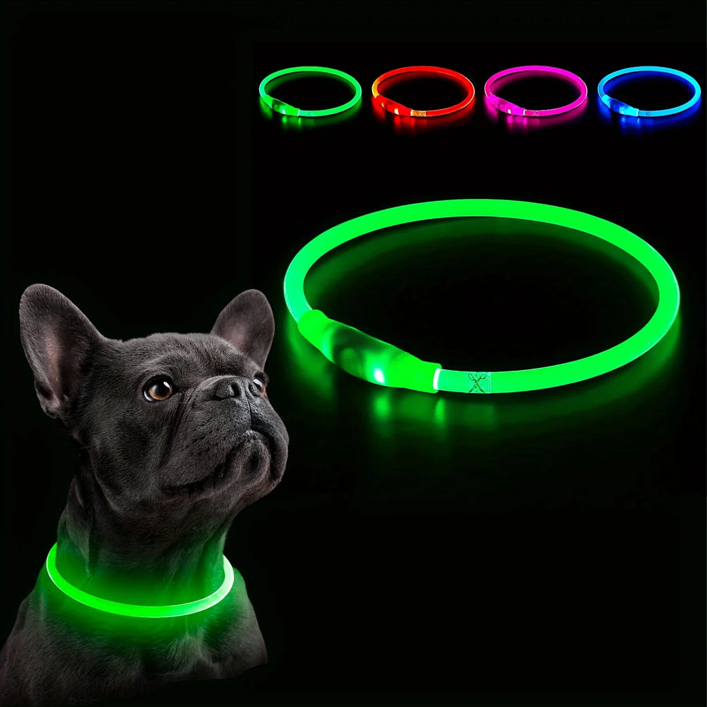 USB Rechargeable LED Light-Up Dog Collar – Night Safety Collar