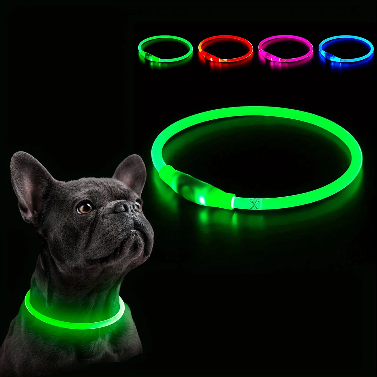 USB Rechargeable LED Light-Up Dog Collar – Night Safety Collar