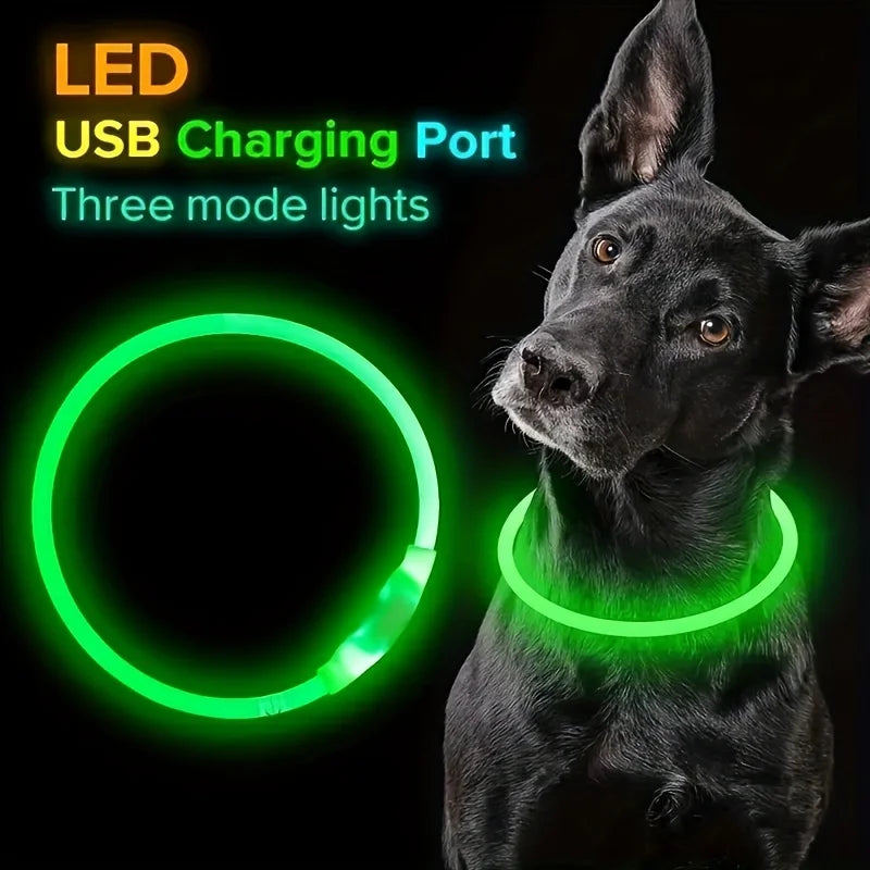 USB Rechargeable LED Light-Up Dog Collar – Night Safety Collar