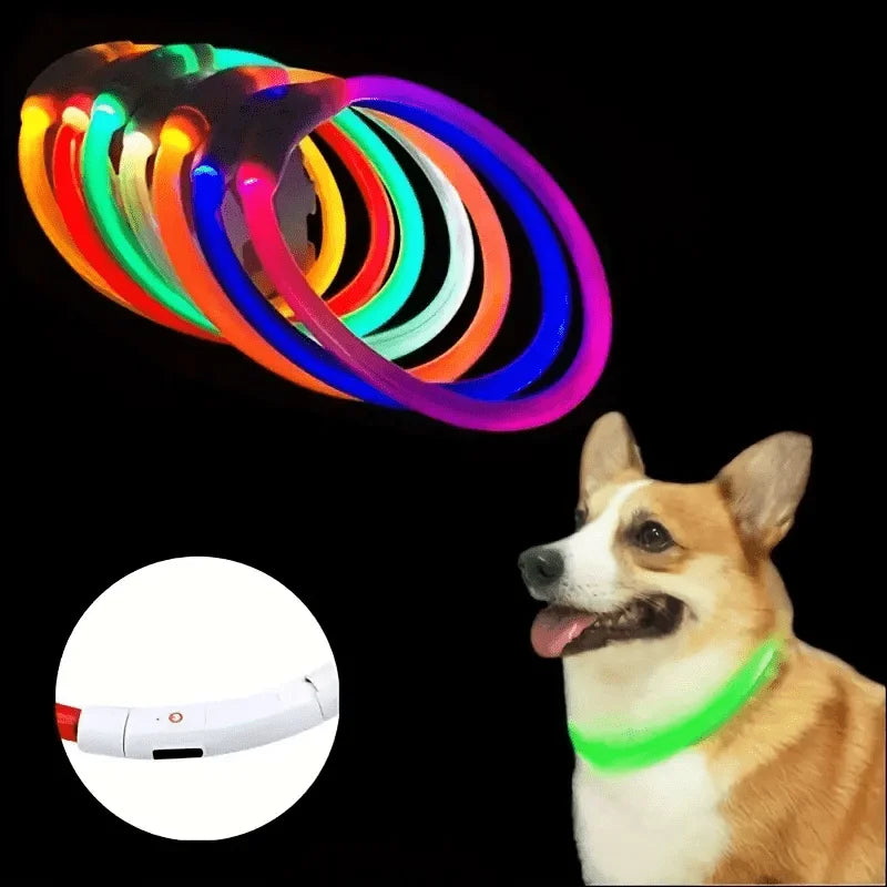 USB Rechargeable LED Light-Up Dog Collar – Night Safety Collar