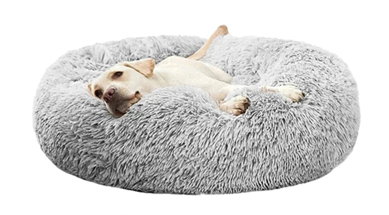 Small dog curled up in a light grey fluffy round pet bed